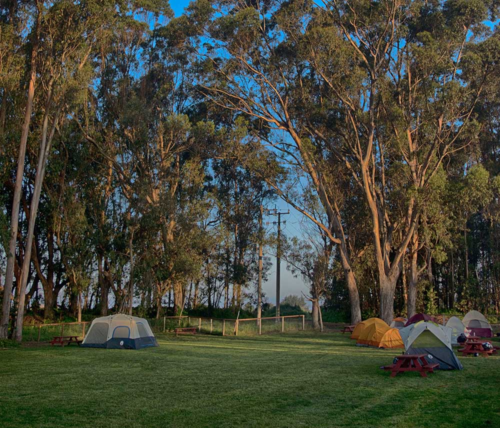 tent camping area