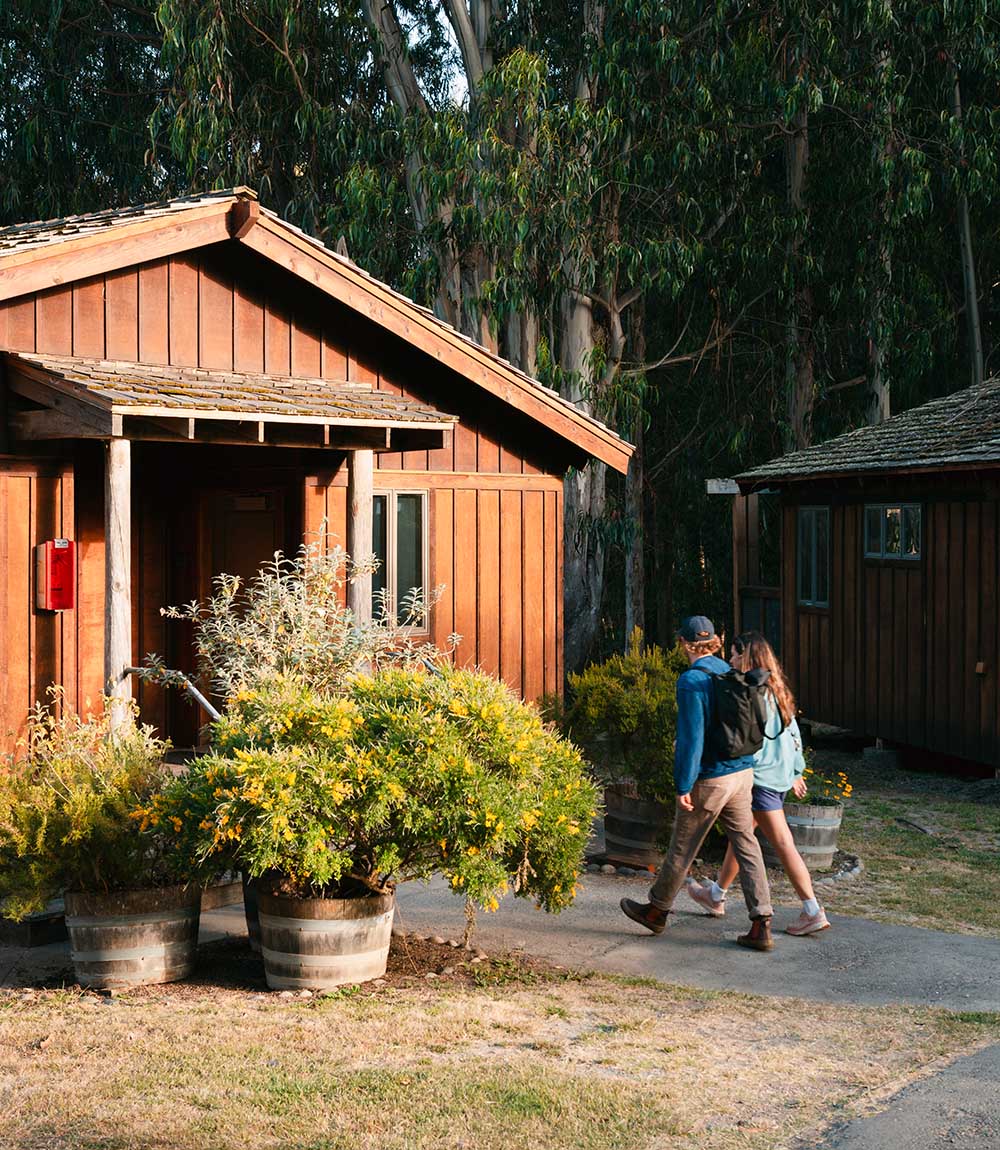 California cabin exterior