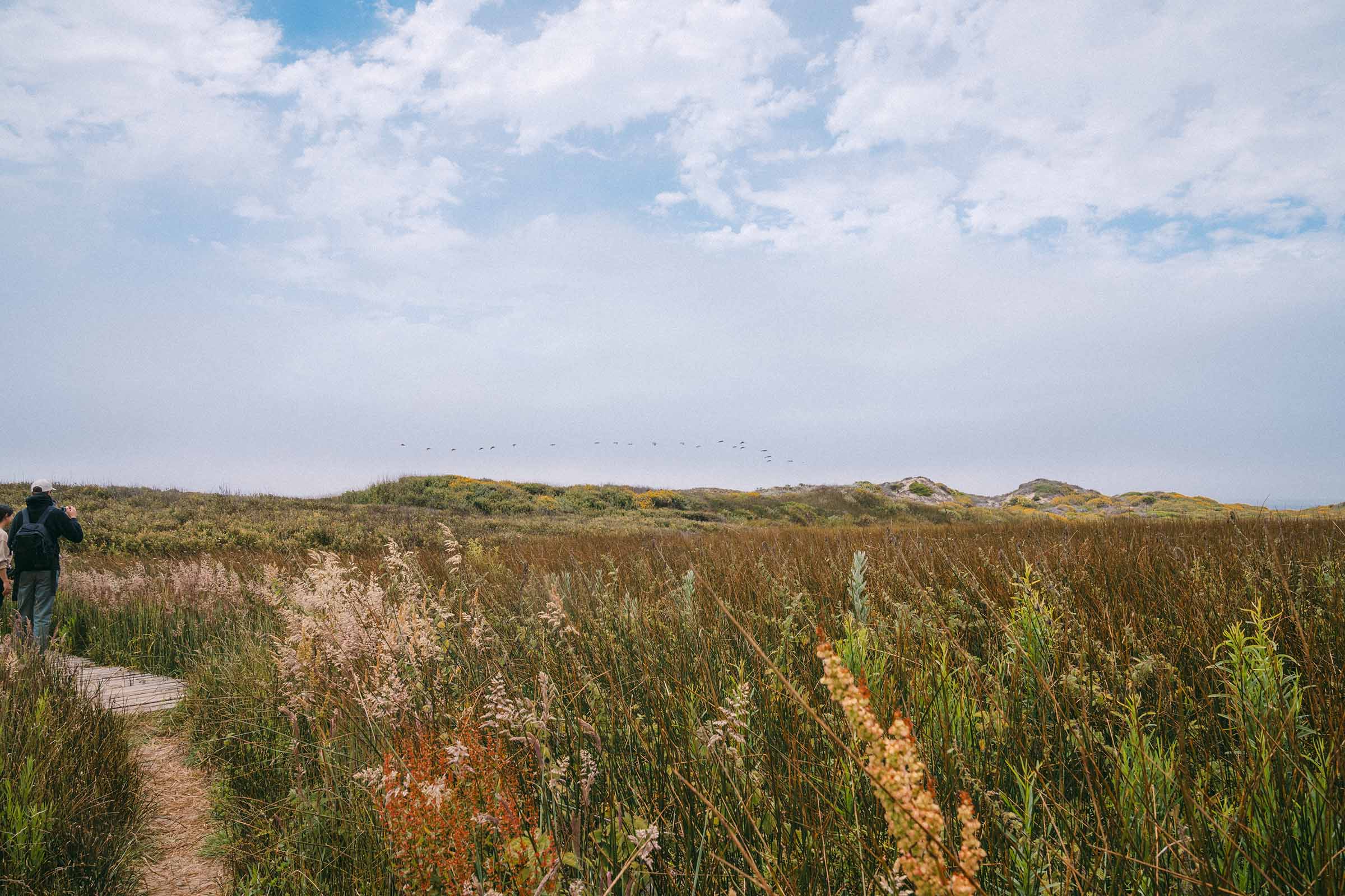 Pescadero bluff with blue sky